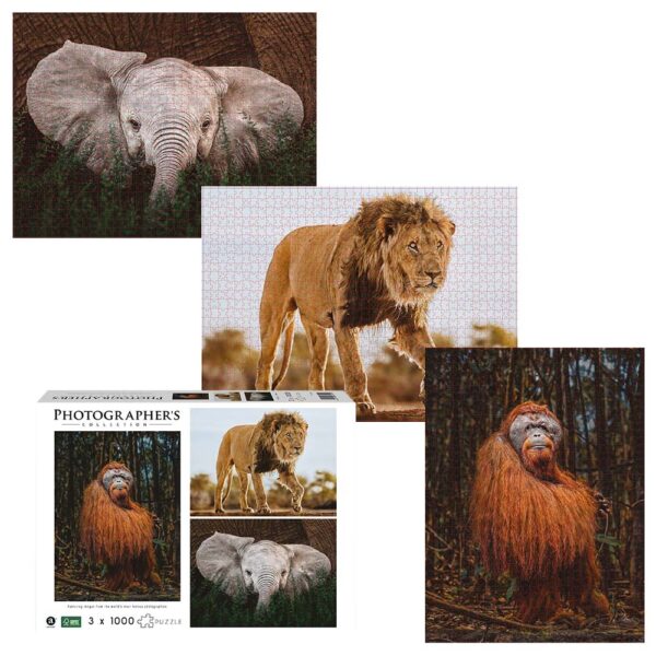 500-3000 Piece Puzzles For Adult & Kids